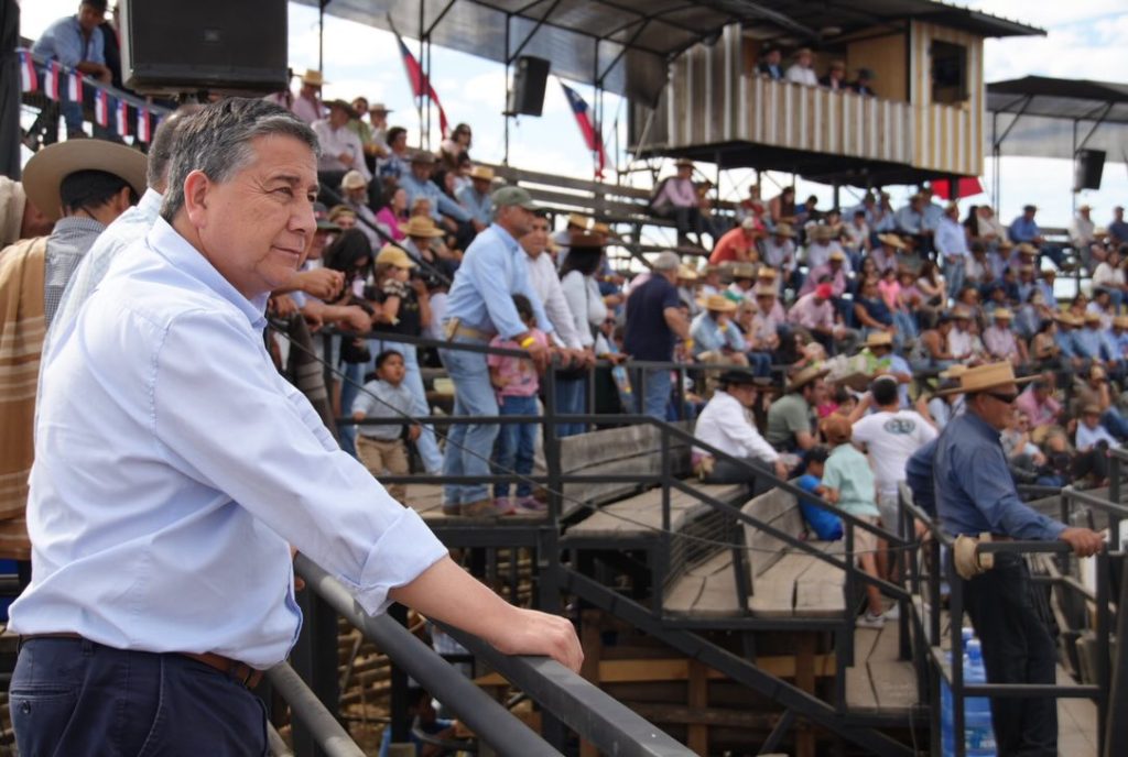 CM MEDIA LUNA TENO (4)